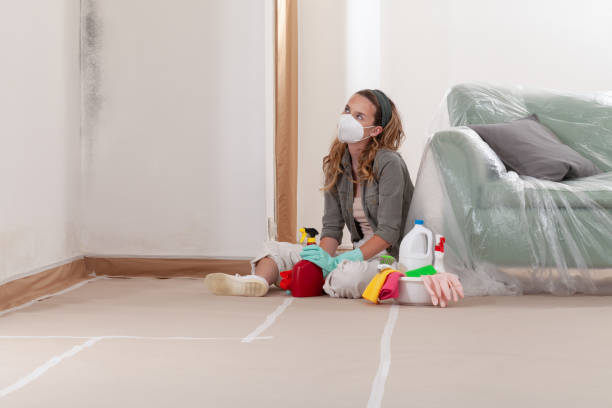 Reliable Mold Cleanup contractor in Dedham, MA by WQB Mold Removal